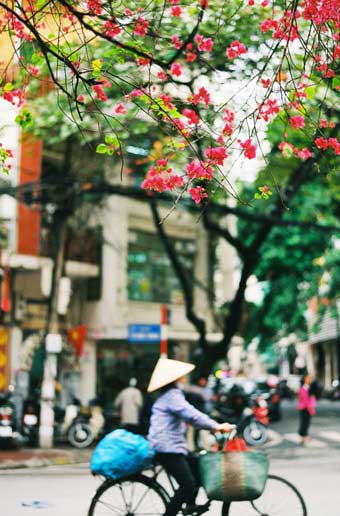 Northern Vietnam Weather