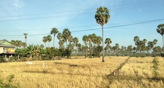 Kampong Chhnang