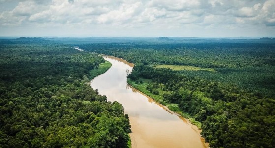 Kinabatangan