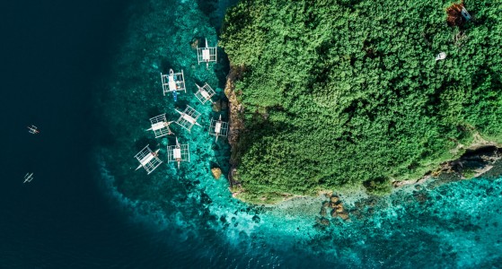 Moalboal