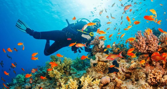 Pulau Sipadan