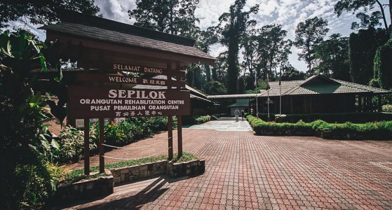 Sepilok