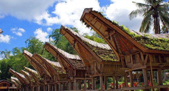 Tana Toraja