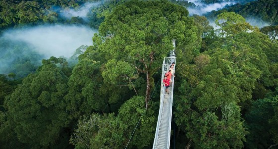 Temburong