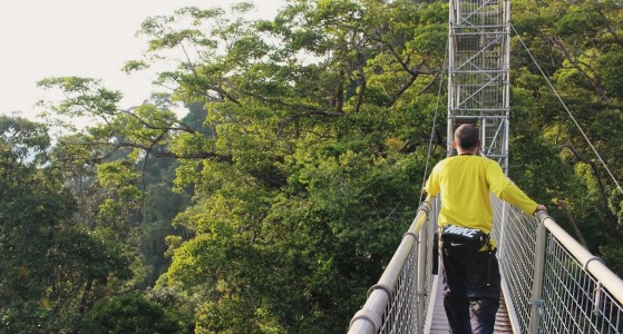 Ulu Temburong National Park