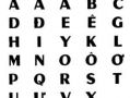 Vietnam Language