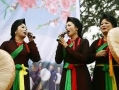 Quan Ho  Singing 