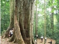 Vietnam National Parks