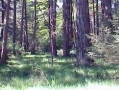 Vietnam	Biodiversity