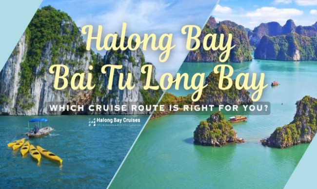 Halong Bay or Bai Tu Long Bay: Which Cruise Route Is Right for You?