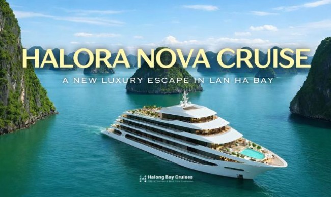 Halora Nova Cruise 2026: A New Luxury Escape in the Tranquil Beauty of Lan Ha Bay