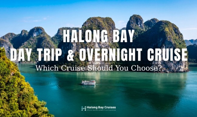 Should You Choose a Day Trip or Overnight Cruise in Halong Bay?