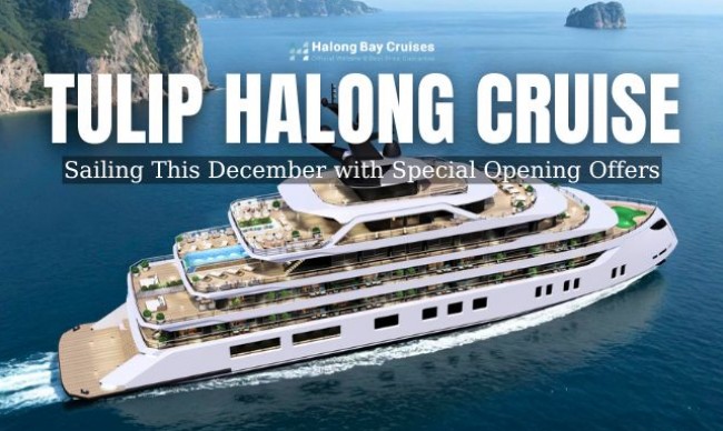 Tulip Cruise - Sailing This December with Special Opening Offers