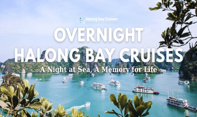 Unique Standouts of Halong Bay Overnight Cruises - A Night at Sea, A Memory for Life