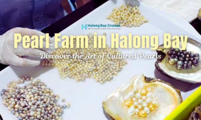 Visiting a Pearl Farm in Halong Bay: Discover the Art of Cultured Pearls