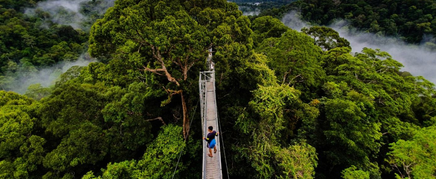 Brunei Heritage and Nature Explorer