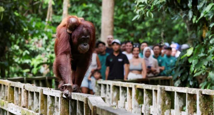 Discover Malaysia: Culture, Nature & Wildlife