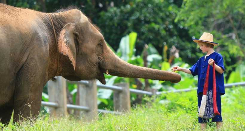 Family Vacation in Thailand, Vietnam, Cambodia and Singapore