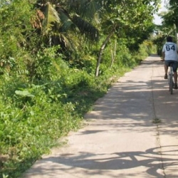 Mrs.Taru Reinikainen