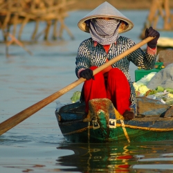 Mr.Sheryl Ann Stovall