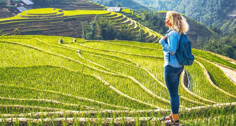 The Terraced Field Trails in Northwest Vietnam