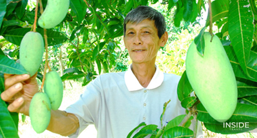 Cai Thia - Hoa Loc Mango Village - Cai Be day tour