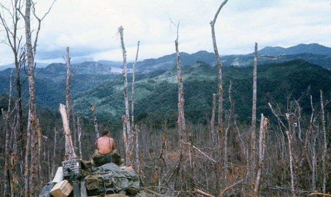 Battle of Hamburger Hill