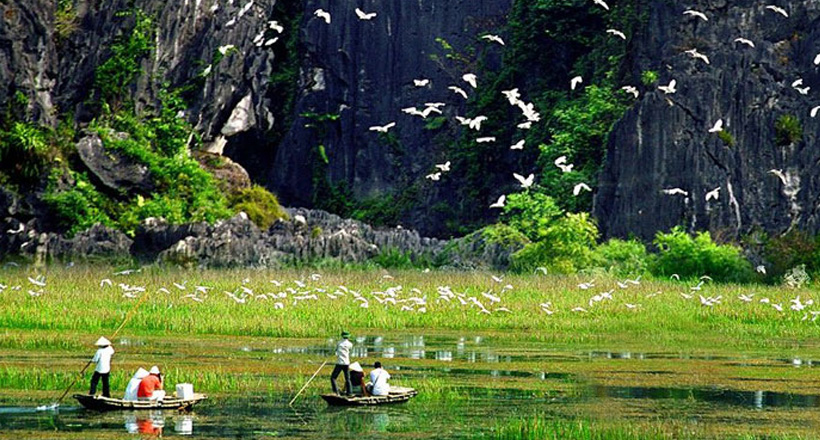 Van Long Nature Reserve Day Tour