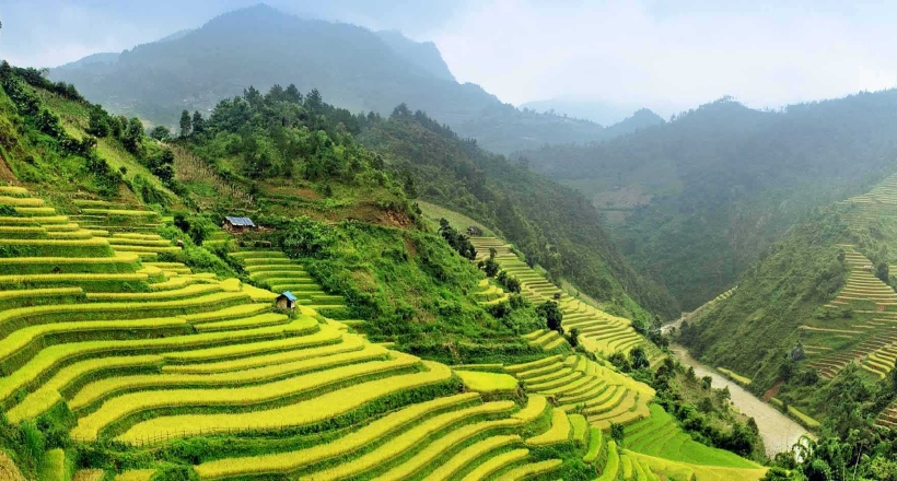 Luxury Vietnam Discovery Tour