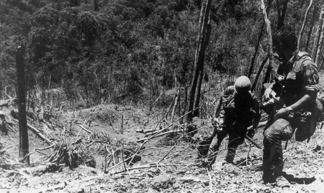Battle of Hamburger Hill