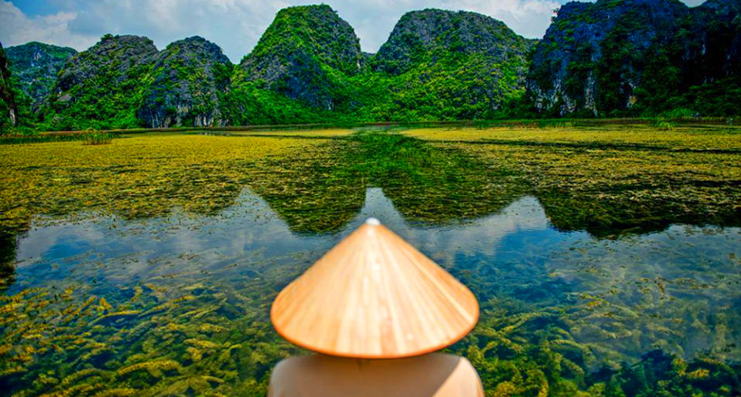 Van Long Nature Reserve Day Tour