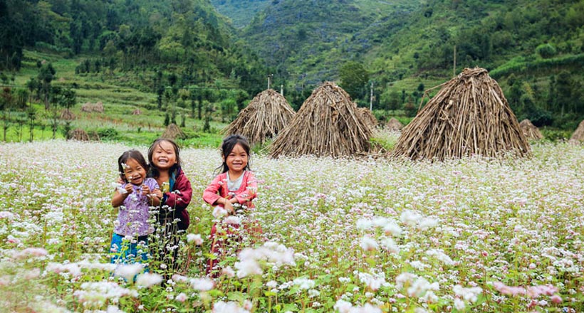 Ha Giang Loop 5-Day Itinerary: Explore Rural Vietnam