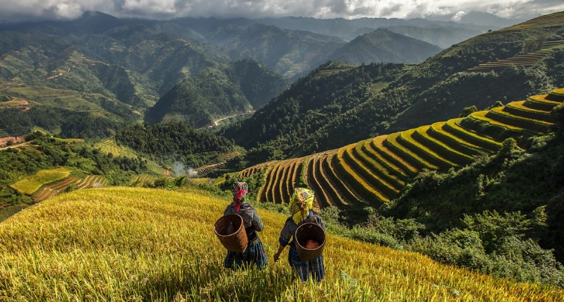 Highlights of Vietnam
