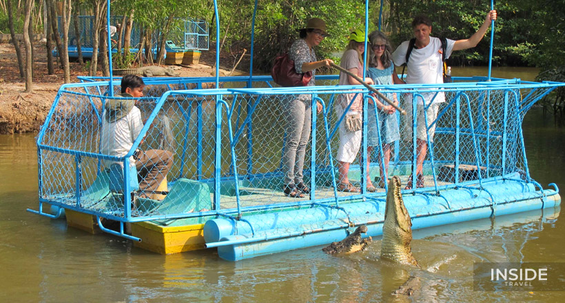 Can Gio Mangrove Biosphere Reserve day tour