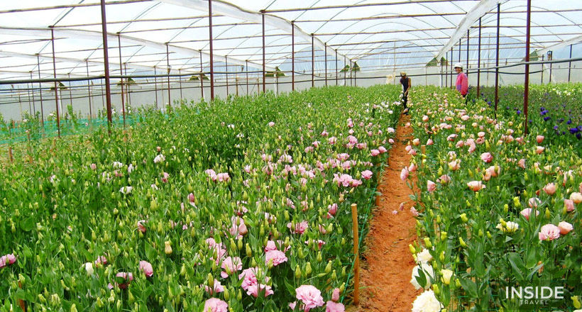 Da Lat Countryside Tour full day