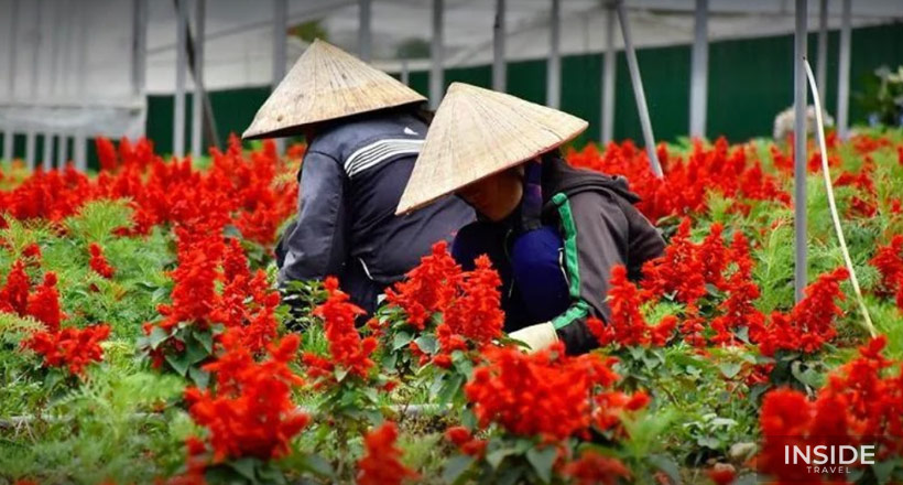 Da Lat Countryside Tour full day