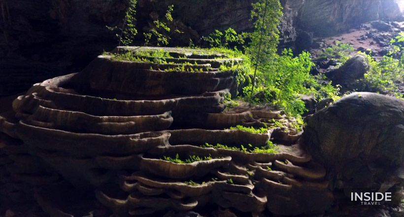 Discover Phong Nha Ke Bang National Park 2 Days 1 Night