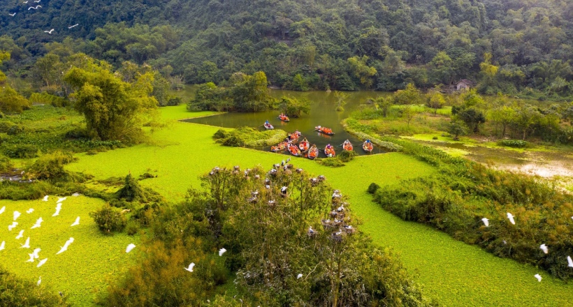 Magnificent Caves and Tranquil Countryside of Vietnam