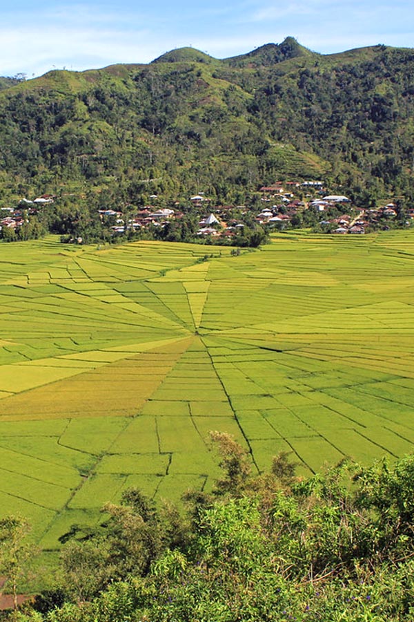 A description of my image.