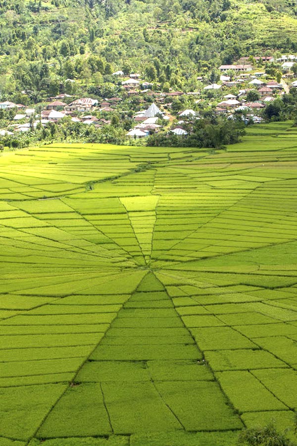 A description of my image.