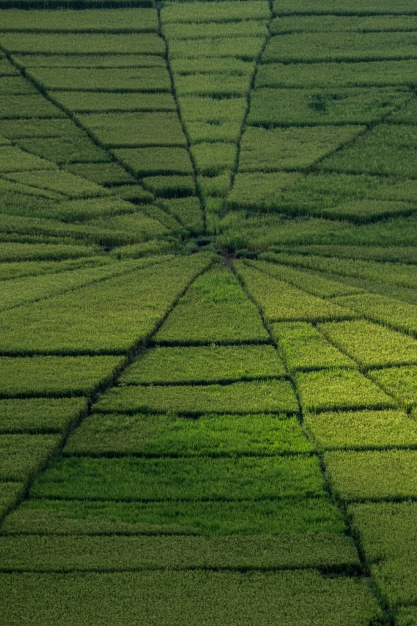 A description of my image.