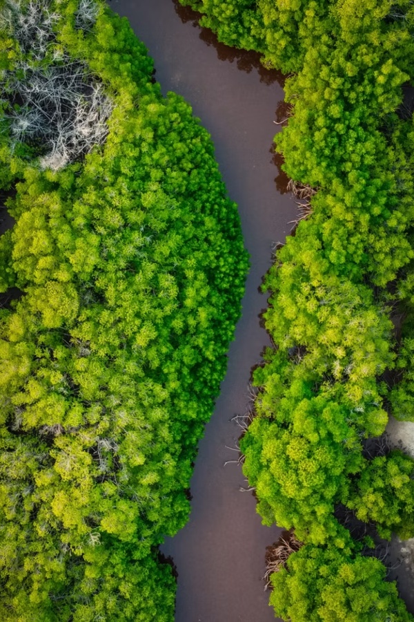 A description of my image.