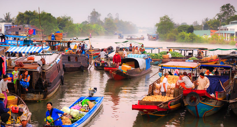 Amazing Essence of Vietnam