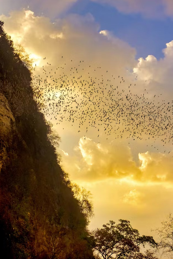 A description of my image.