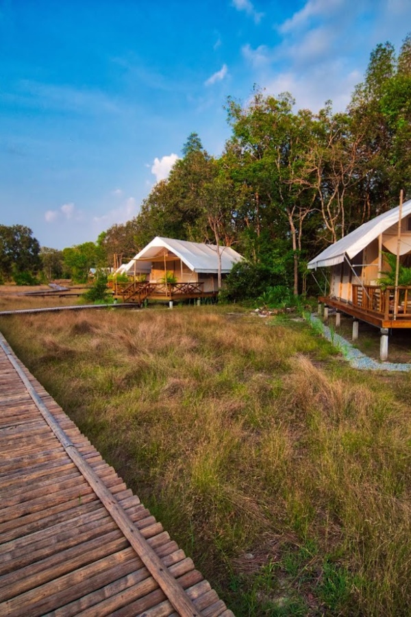 A description of my image.