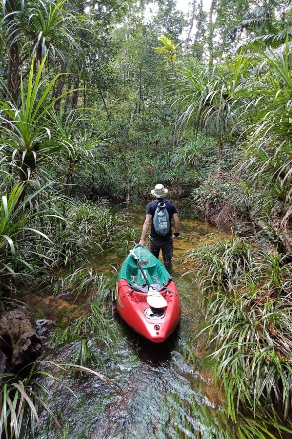 A description of my image.