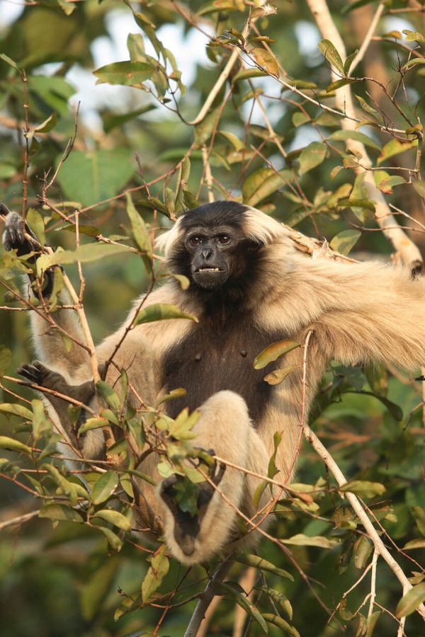 A description of my image.