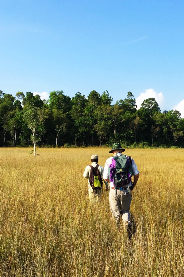 A description of my image.