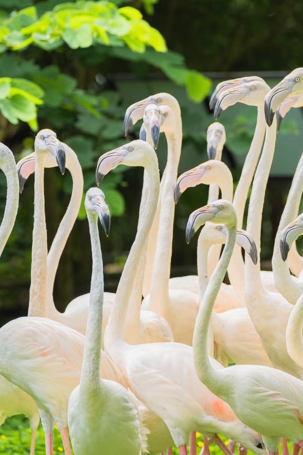 A description of my image.