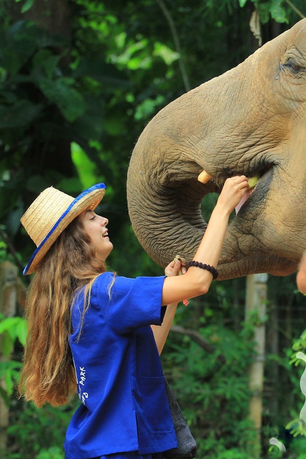 A description of my image.